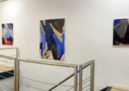 50 Aniversario Facultad BBAA UPV/EHU 17 - Galería de Arte Juan Manuel Lumbreras 50 Aniversario Facultad BBAA UPV/EHU 17