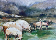 Agrupación Vasca de Acuarelistas 24 - Galería de Arte Juan Manuel Lumbreras Agrupación Vasca de Acuarelistas 24