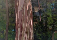 Jorge Rubio 27 - Galería de Arte Juan Manuel Lumbreras Jorge Rubio 27