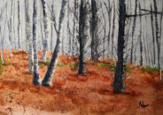 Agrupación Vasca de Acuarelistas 97 - Galería de Arte Juan Manuel Lumbreras Agrupación Vasca de Acuarelistas 97